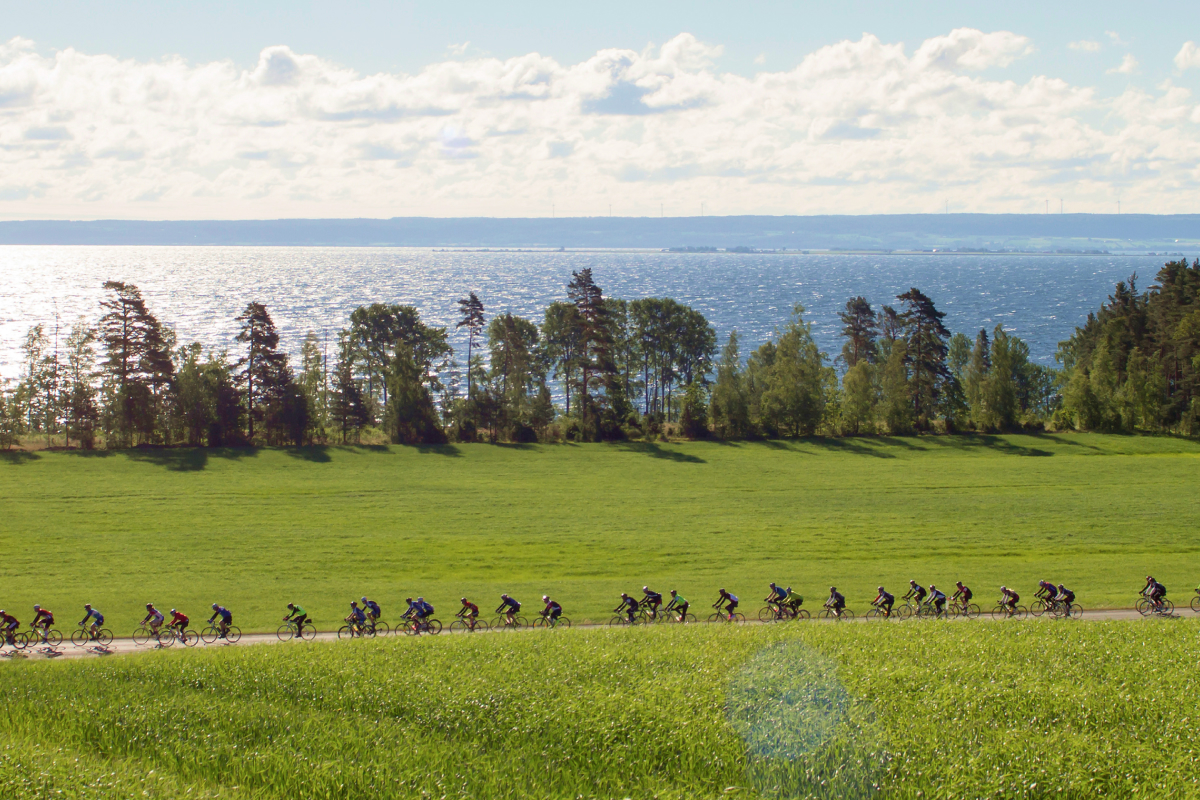 Noleggia una bici da strada per il Vätternrundan