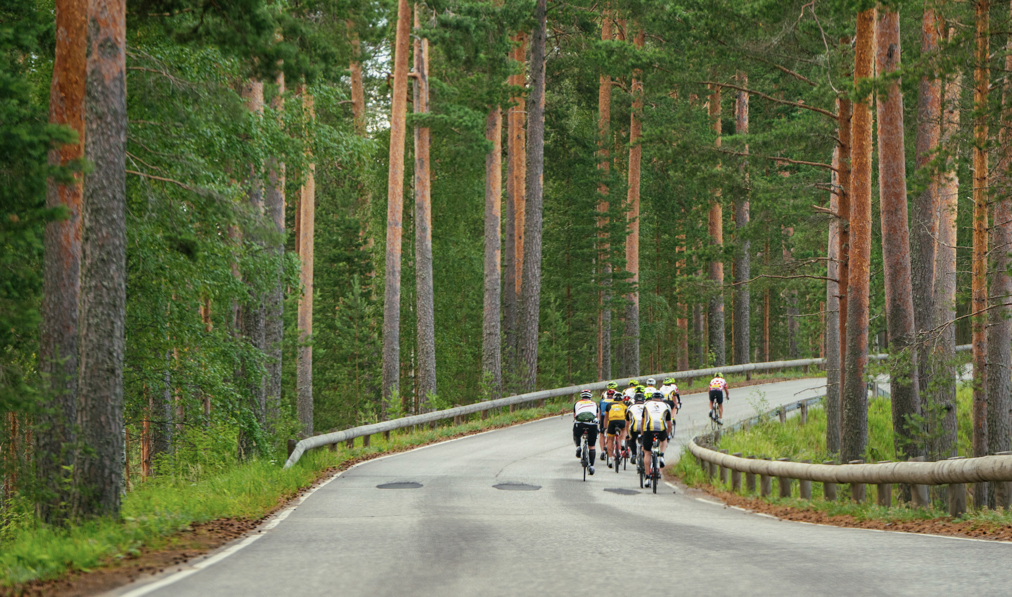 Rent a premium road bike online for the Saimaa Cycle Tour!